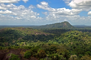 Amazon_jungle_from_above